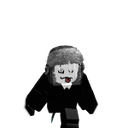 Racoon
