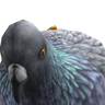 AntonioJBfSMH