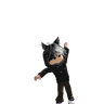 BRHPABLIXZ071