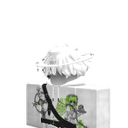 Void