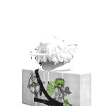 Void