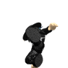 Sakarao_0