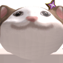 HK_YTcat
