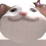 HK_YTcat