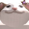 HK_YTcat