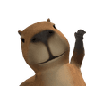 Capybara yt