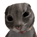 s0rrow