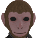 Baby monkey