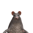 cheese_rat