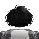 ZEN0