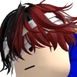 The_RoxxNinja