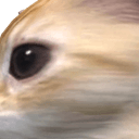 BILOTAGANGLEADER