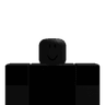 NVZ