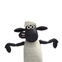 Shonthesheep075