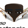 RizzfullBlacBoy