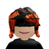 whyv2