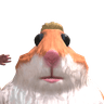 hamster_102