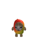 Mangocatforever