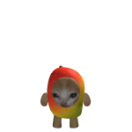 Mangocatforever