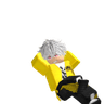 Triplax