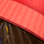 rip_sensai