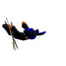 xtx_old