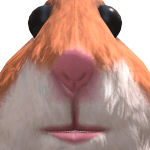 pumkin_l1234