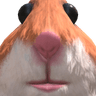 pumkin_l1234