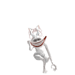 Ikonadodo