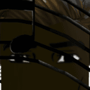 ArinANDvansh