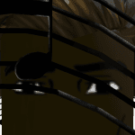 ArinANDvansh