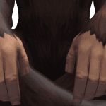 O_8