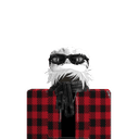 shubhplayz