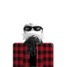 shubhplayz