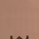 ThePetCollector1