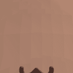ThePetCollector1