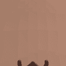ThePetCollector1