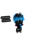 RIP_INDRA1