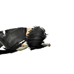 Mor