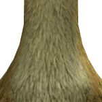 H0denkobold72