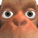 AlawkbaHamirBoum