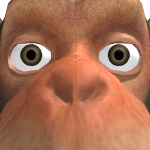 AlawkbaHamirBoum
