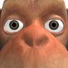 AlawkbaHamirBoum