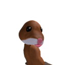old_bacon