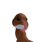 old_bacon
