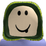 Raynator