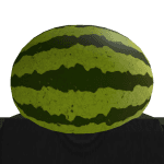 Robloxgamer900032