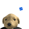 gatoTEMU8u