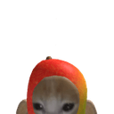 Mukoko888
