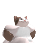 Sui